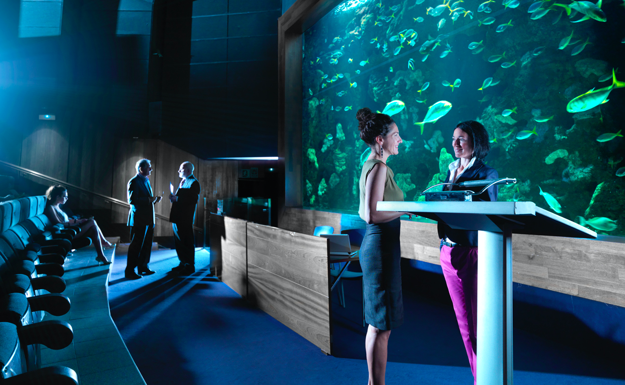Eventos bajo el mar