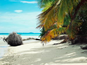 Descubra el mundo con Nashira