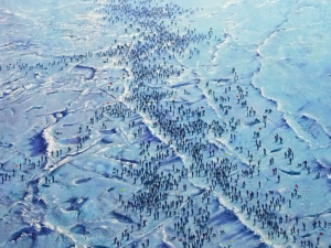 Paisajes inhóspitos