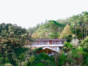 SSH inaugura un nuevo espacio en el centro de San Sebastián