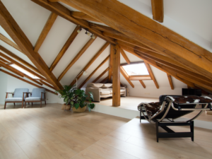 Zebra Lab, arquitectura y diseño