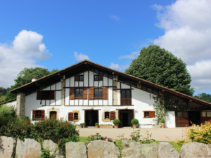 Getting married surrounded by nature