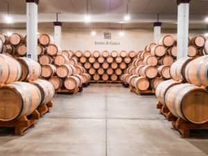 The Constant Wine-producer