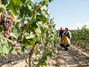 TripAdvisor adds guide Aitor Delgado to its “Hall of Fame”