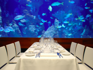 The most original corporate events are held under the sea
