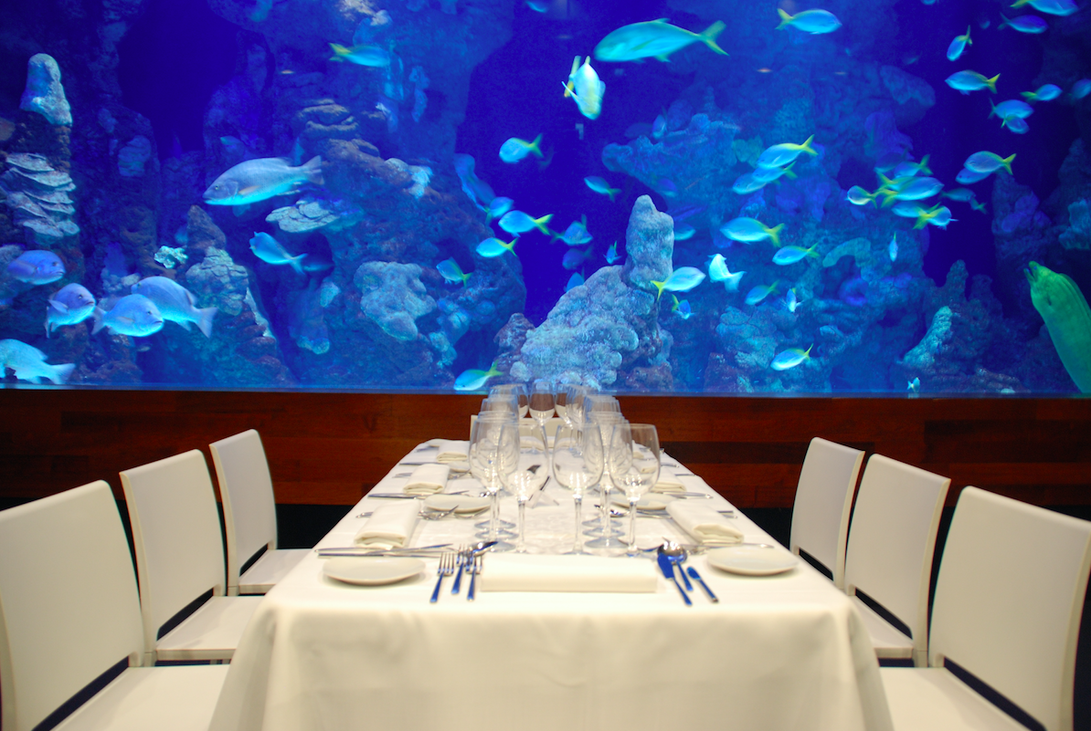 The most original corporate events are held under the sea