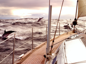 Hay una manera de recorrer el Camino de Santiago sin cansarse y no es en coche