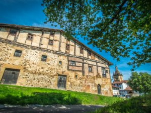 Introducing the definitive guide to the Basque Highlands to help you make the most of this ecoregion