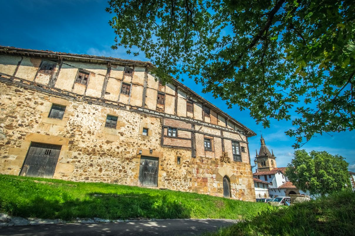 Introducing the definitive guide to the Basque Highlands to help you make the most of this ecoregion