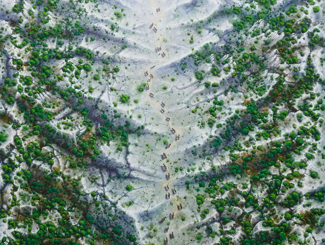 We venture into the studio of Agustín Pontesta to get to know the work of this Basque landscapist firsthand