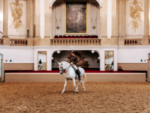 Viena 2020, Capital de la Música y del Lujo