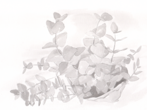 Sobre “cocooning” de lujo, coronavirus y cisnes negros