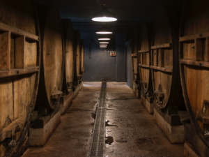 Sidrerías, bodegas, dulces… el Goierri sorprende con una propuesta culinaria que va mucho más allá del queso Idiazabal