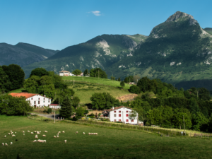 Cider houses, wineries, sweets… Goierri surprises all with a culinary proposal that goes far beyond Idiazabal cheese