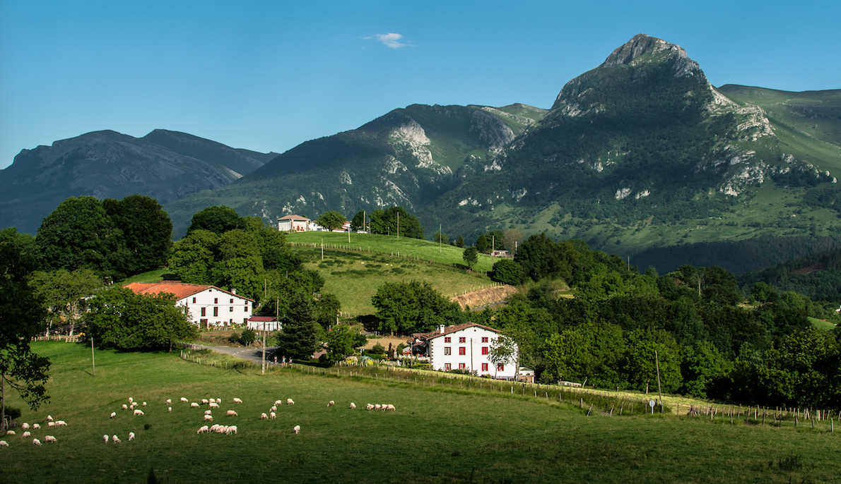 Cider houses, wineries, sweets… Goierri surprises all with a culinary proposal that goes far beyond Idiazabal cheese