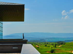 Éstas son las mejores excursiones premium para disfrutar copa en mano