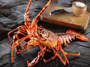 Where to buy the best sustainably caught fish