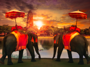 Así viajan los deportistas de élite del País Vasco