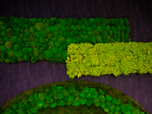 Discover the latest trends in floral art for offices