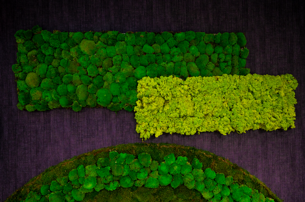 Discover the latest trends in floral art for offices