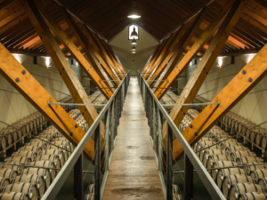 The Vino de Pago classification received by Arínzano is proof of the search for excellence in this thousand-year-old land