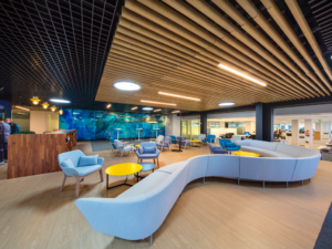 Así se crean los “ambientes laborales significativos” para alcanzar el éxito