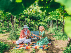 The e-Basque Route is born: the first national tourist route by road designed with electric vehicles in mind