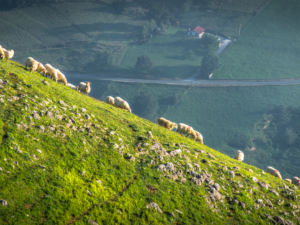 The Goierri region captivates sports lovers and couples looking to unwind in a peaceful place