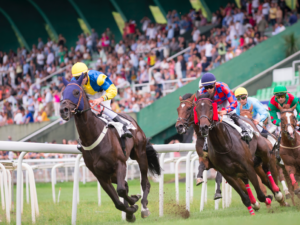 “San Sebastián es la respuesta de España a Monte Carlo”
