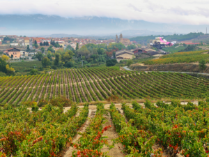 Dental tourism with premium stays in the Basque Country