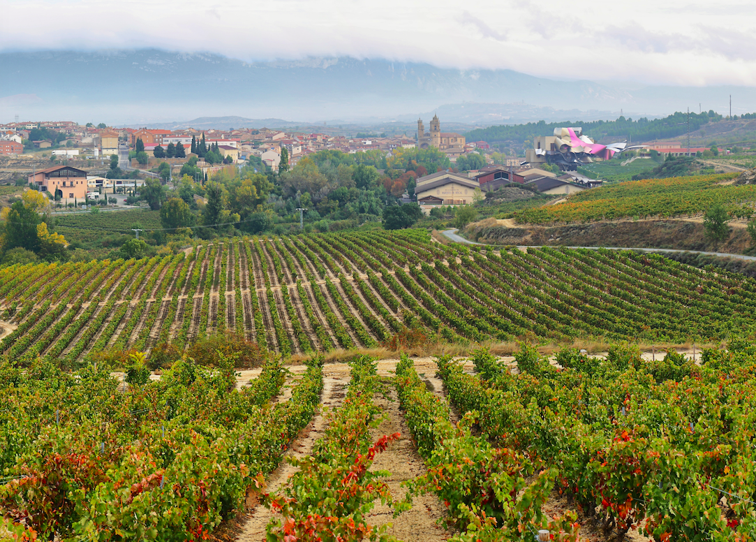 Dental tourism with premium stays in the Basque Country