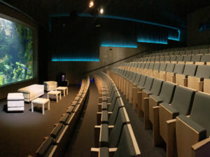 Aquarium San Sebastián: much more than a museum full of aquatic jewels