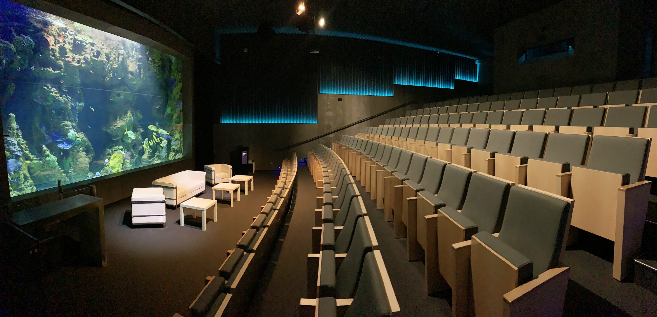 Aquarium San Sebastián: much more than a museum full of aquatic jewels