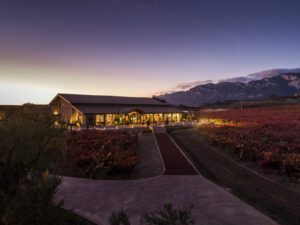 El Puntido: an innovative culinary experience with views of the Rioja Alavesa vineyards