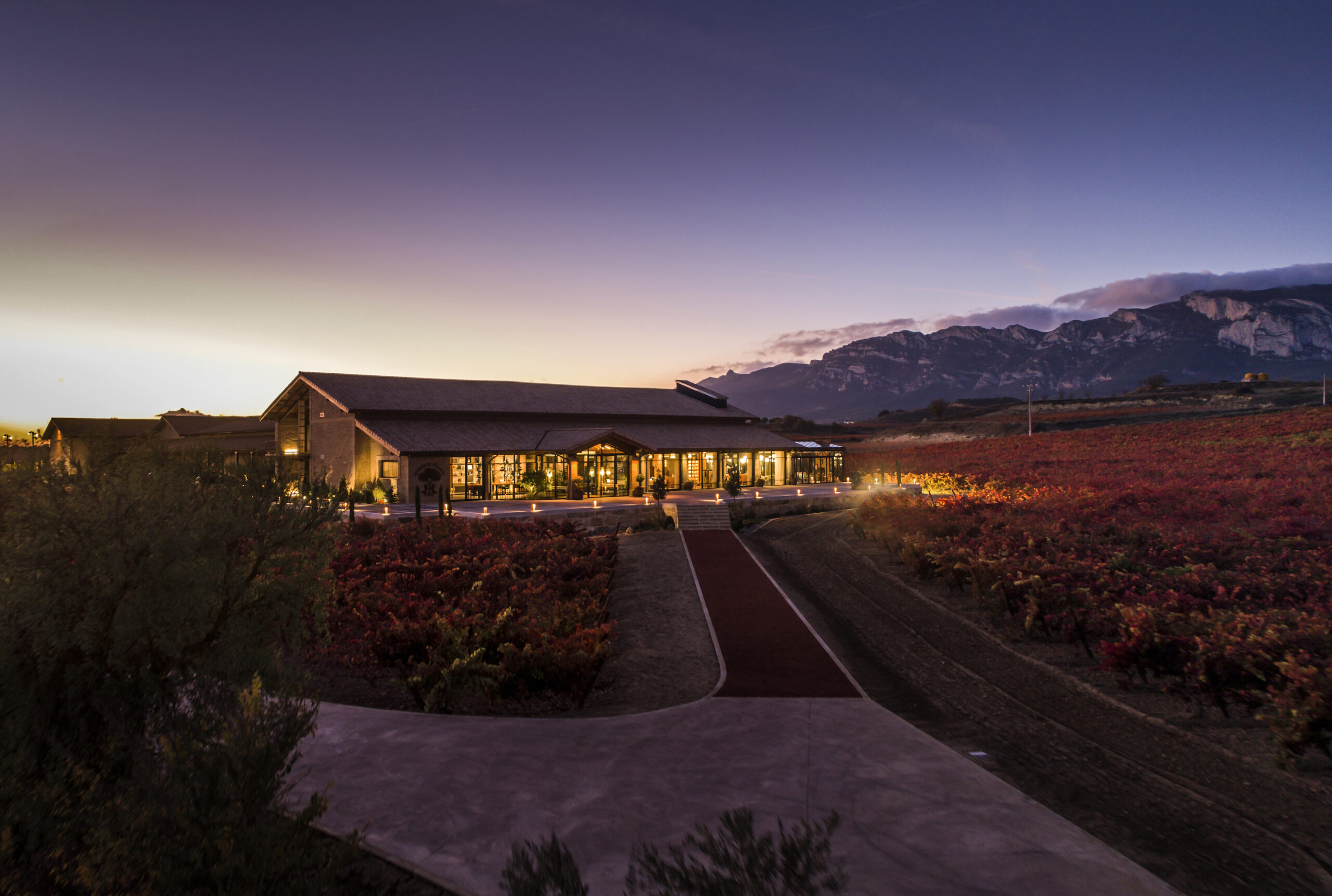 El Puntido: an innovative culinary experience with views of the Rioja Alavesa vineyards
