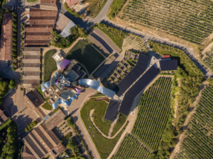Marqués de Riscal: a twenty-first century hotel in the oldest winery of Álava