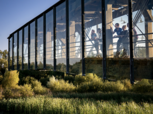 Vitoria-Gasteiz: why you should visit and get to know the Basque Country’s green capital