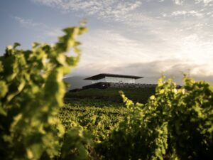 Bodegas Baigorri: un referente de sostenibilidad y arquitectura moderna que se integra en el paisaje de Rioja Alavesa