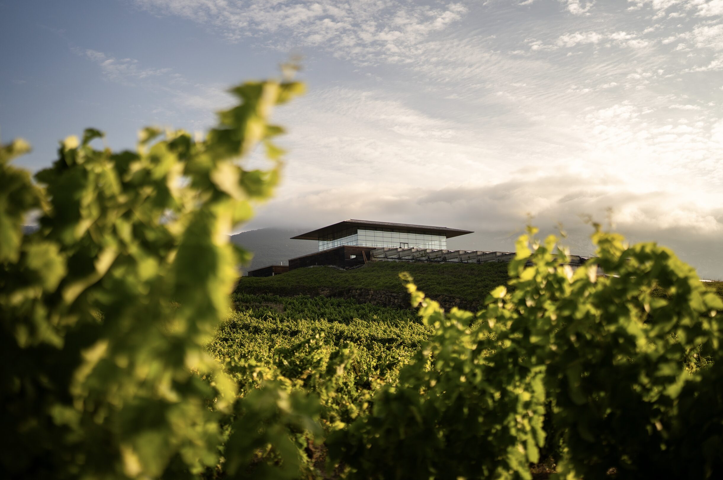 Bodegas Baigorri: un referente de sostenibilidad y arquitectura moderna que se integra en el paisaje de Rioja Alavesa