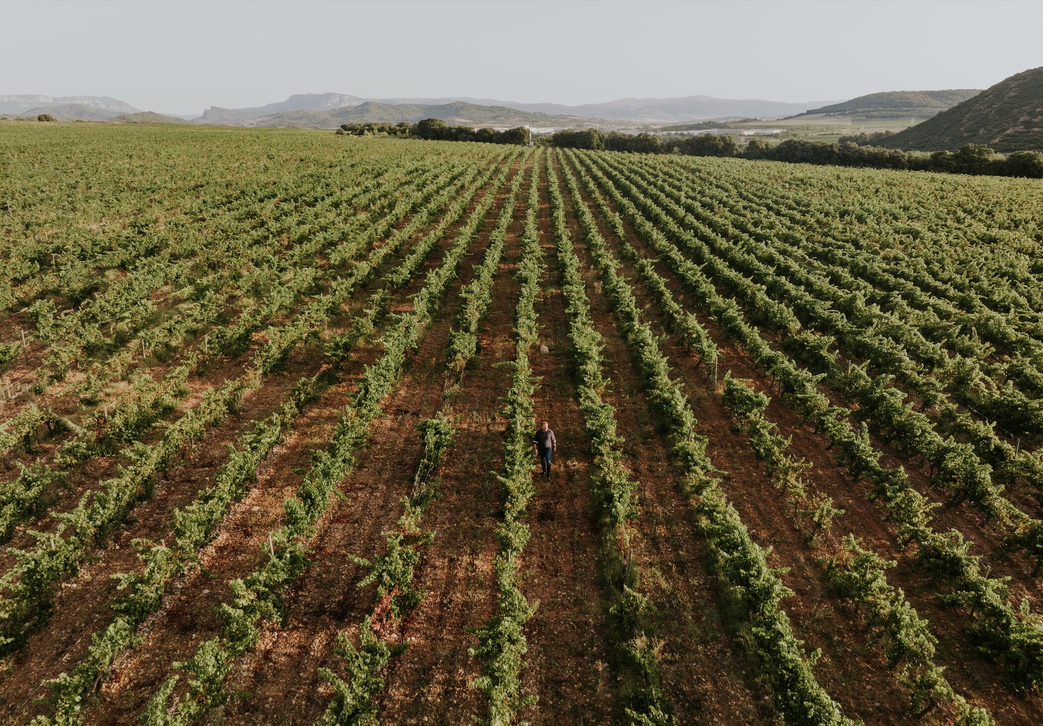Arínzano: we visit the oldest winery in Spain