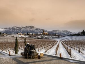 Viñedos de Páganos celebrates its twenty-fifth anniversary