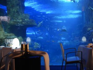 The San Sebastián Aquarium has designed a VIP visit that includes an expert guide, an aperitif, and a “swimming among sharks” experience