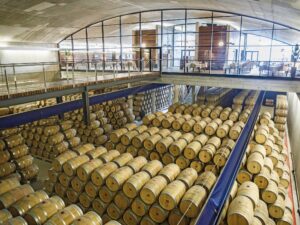 Baigorri: la bodega de Samaniego busca fortalecer su compromiso con la sociedad y el planeta confirmando su adhesión a la comunidad de empresas B Corp