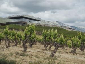 Baigorri: this winery in Samaniego has sought to strengthen its commitment to society and the planet by confirming its adhesion to the B Corp Community