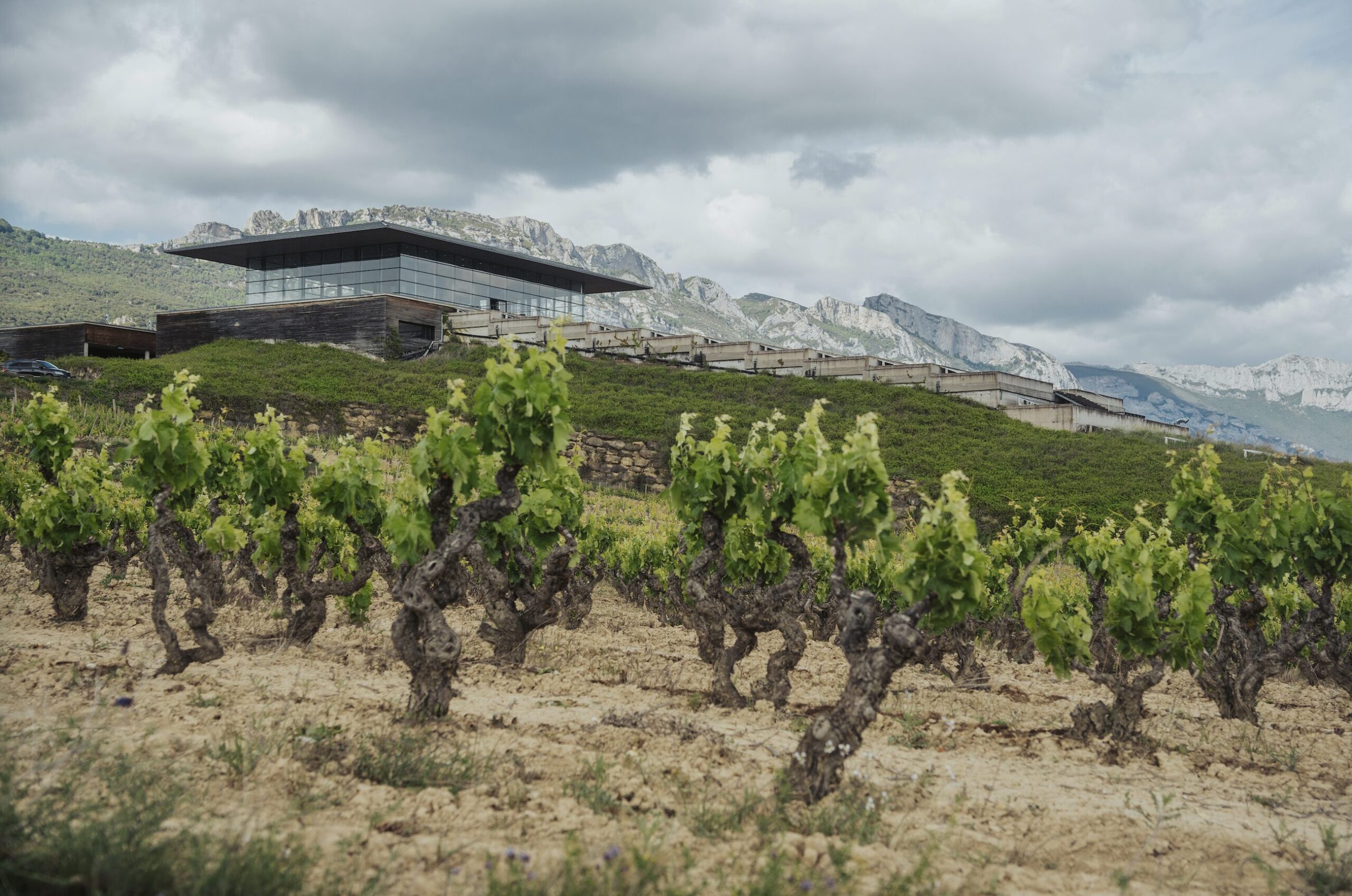 Baigorri: this winery in Samaniego has sought to strengthen its commitment to society and the planet by confirming its adhesion to the B Corp Community