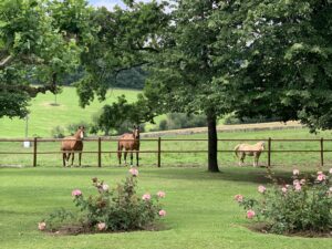 Machoenïa: this is the estate where iconic French fashion designer André Courrèges lived, now converted into a space for holding prestigious events