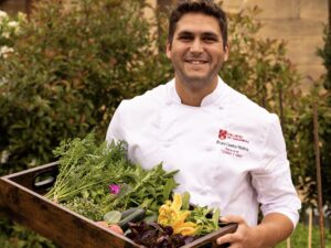 Tierra y Vino: a leader in haute cuisine and a link between the Basque region and French culinary techniques