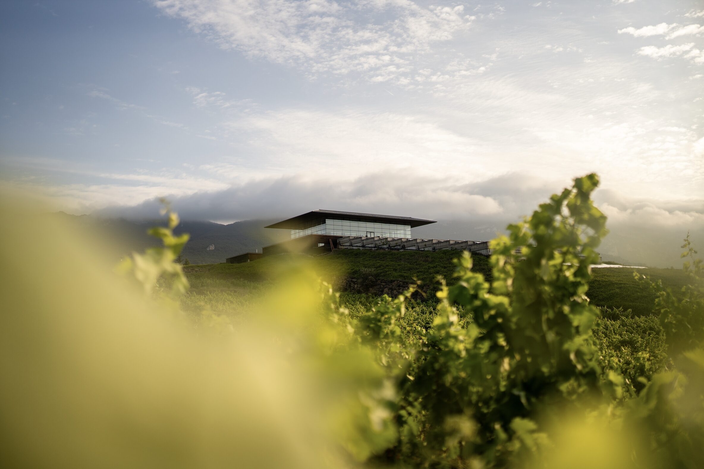 Baigorri: vino, arquitectura y paisaje al servicio de la empresa