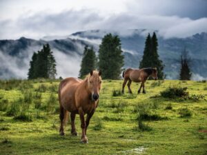 Euskadi – Basque Country Grand Tour: de la tradición a la modernidad en ocho etapas
