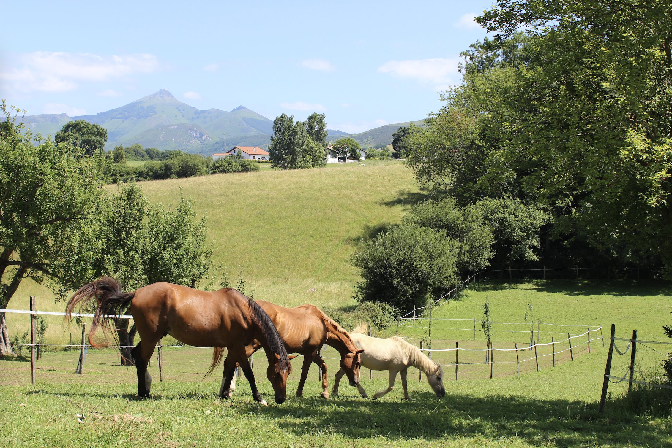 Machoenïa: A Distinctive Setting for Corporate Events with Character